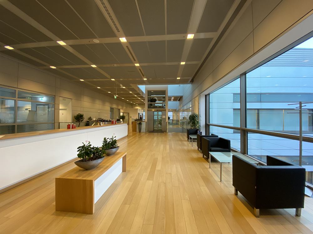 Innenansicht Büro Köln